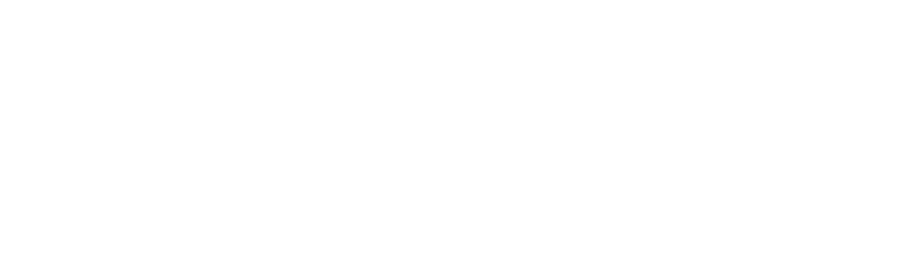 Welucci